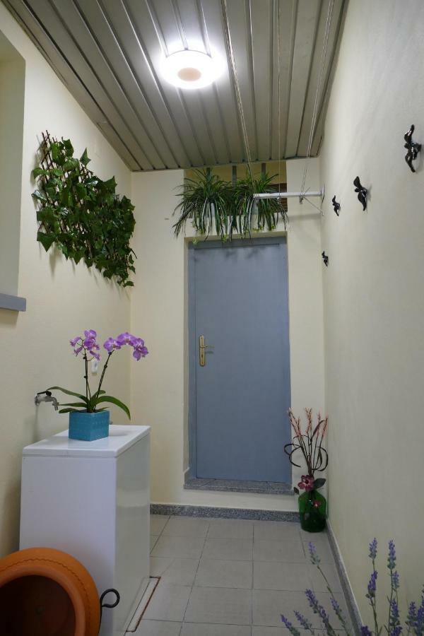 Appartement Tuacasa à Mirandela Extérieur photo